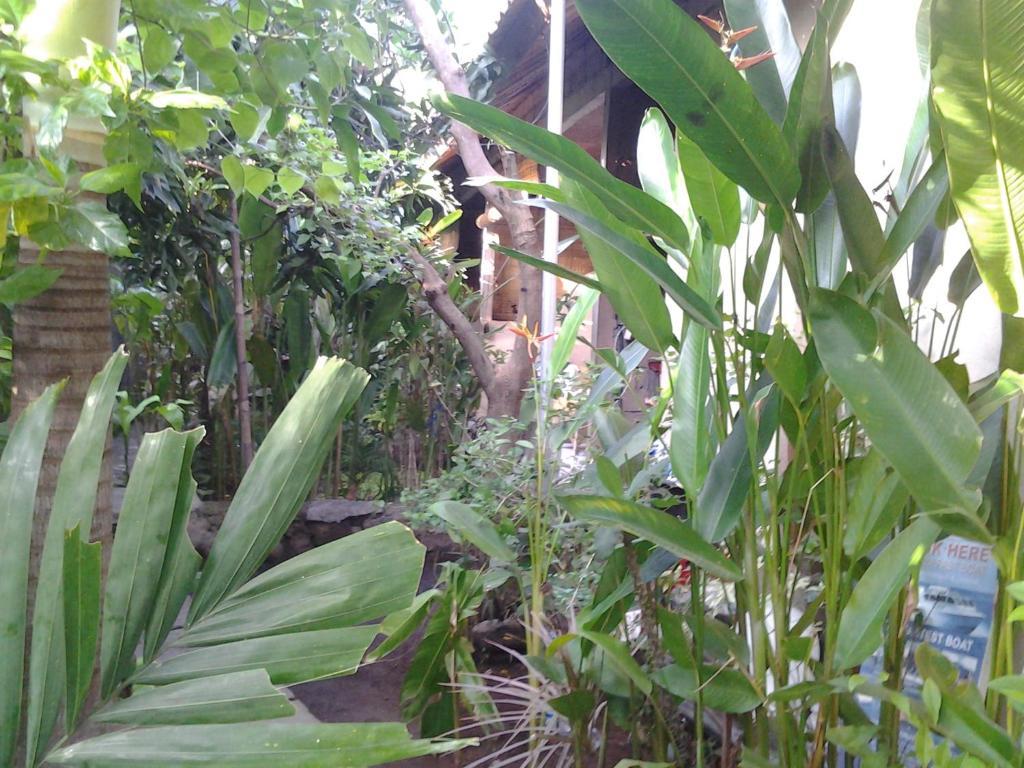 Solaluna Beach Homestay 아메드 외부 사진